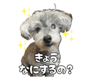 846748369