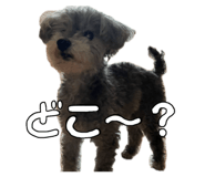 846748377