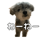 846748378