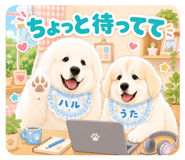 846749076