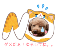 846750499