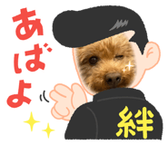 846750500