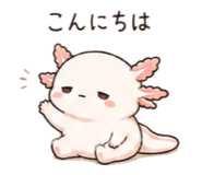 846750890