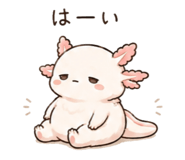 846750893