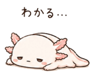 846750896