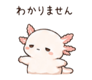 846750897