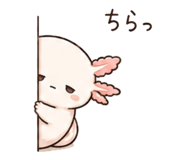 846750898