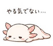 846750899