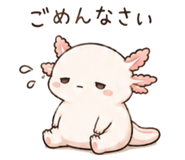 846750901