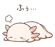 846750902