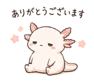 846750904