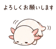 846750905