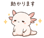 846750906