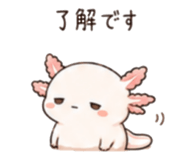 846750908