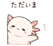 846750915