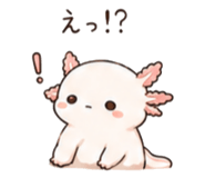 846750916