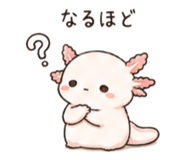 846750917