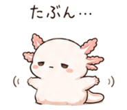 846750919