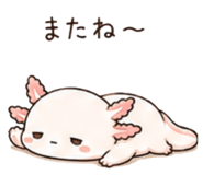 846750926