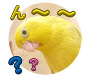 846751471