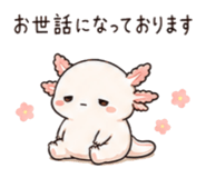 846751753