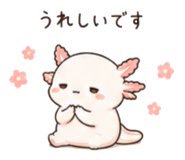 846751763
