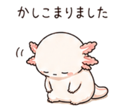 846751775