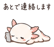846751780