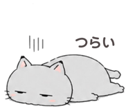 846751802