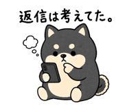 846752379