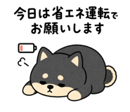 846752393