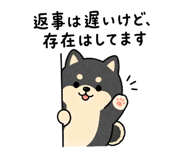846752398