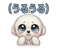 846753339