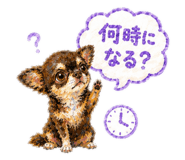 846753370