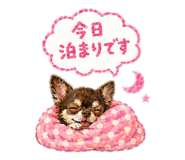 846753382