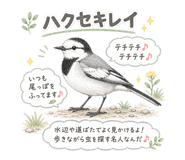 846755421
