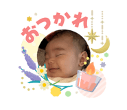 846755558