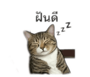 846757236