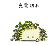 846762733