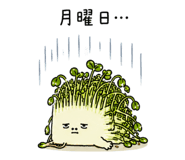 846762736