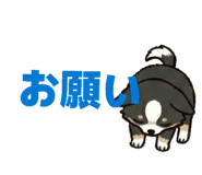 846763290