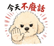846766847