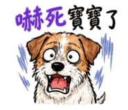 846768106