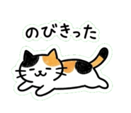 846769980
