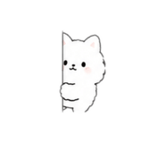 846772993