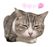 846773302