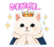 846773427