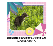 846774098