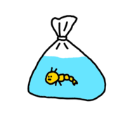 846774568