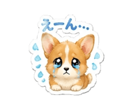 846775679